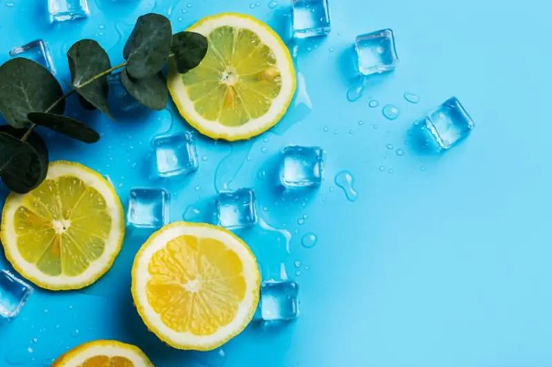 Lemon slices and eucalyptus leaves